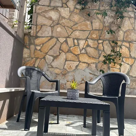 Puntadura Oasis *