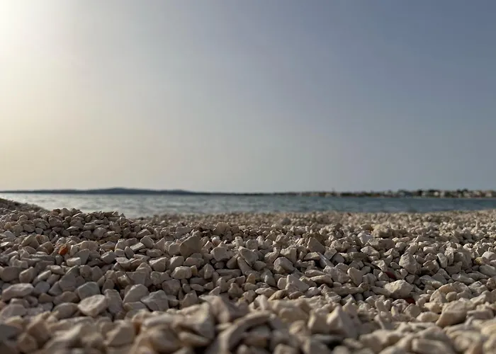 Puntadura Oasis *