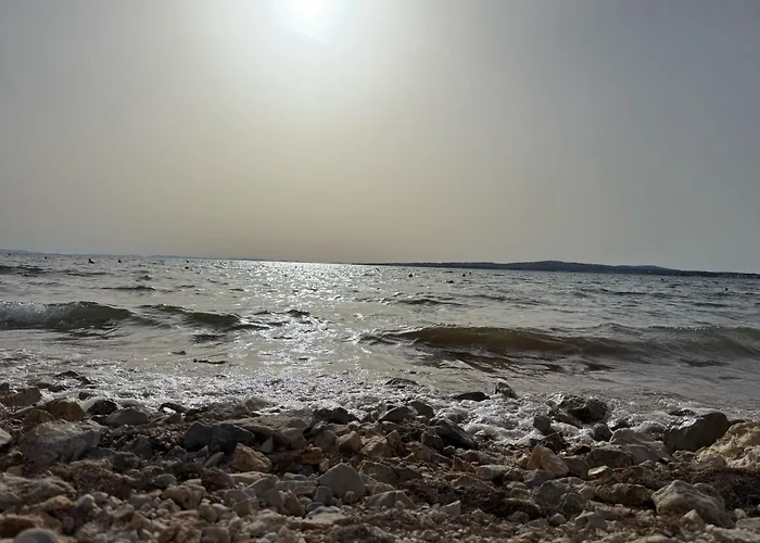 Puntadura Oasis