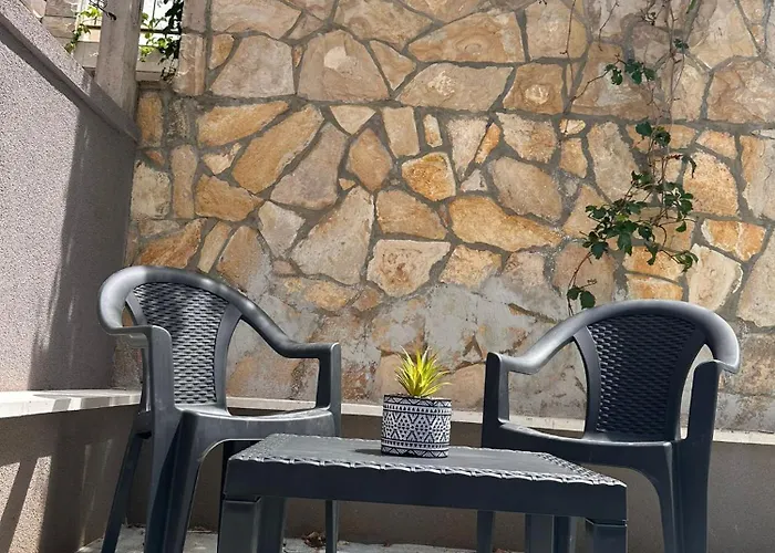 Puntadura Oasis *
