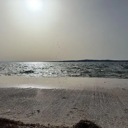Puntadura Oasis *