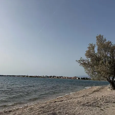 Puntadura Oasis *